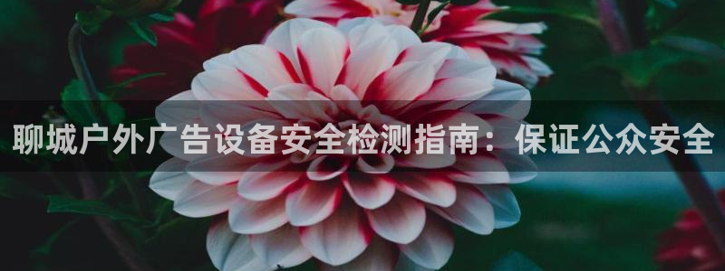 杏宇平台怎么样赚钱