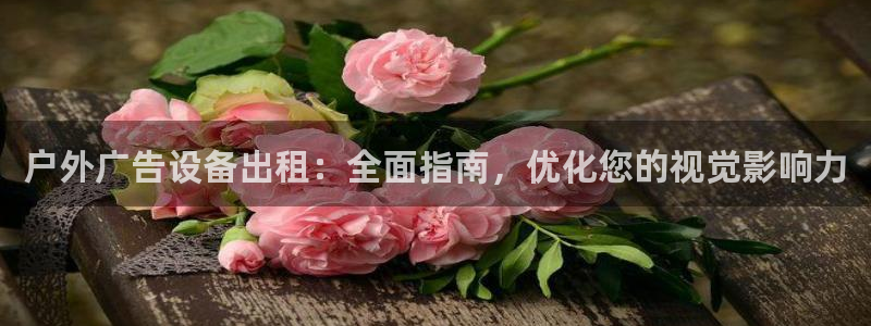 杏宇平台总代理电话