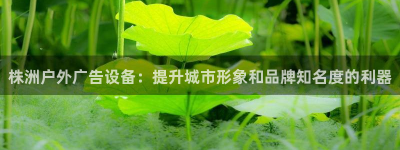 杏宇平台客服：株洲户外广告设备：提升城市形象和品牌知名度的利器