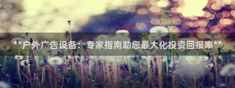 杏宇平台登陆：**户外广告设备：专家指南助您最大化投资回报率**