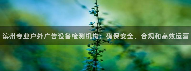 杏宇平台代理多少钱一次：滨州专业户外广告设备检测机构：确保安全、合规和高效运营