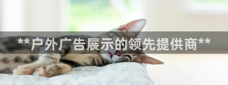 杏宇平台招商电话号码：**户外广告展示的领先提供商**