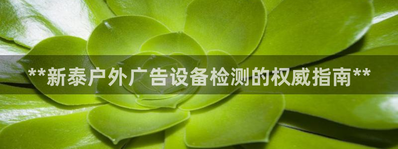 杏宇平台招商电话号码：**新泰户外广告设备检测的权威指南**