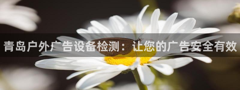 杏宇官方平台官网