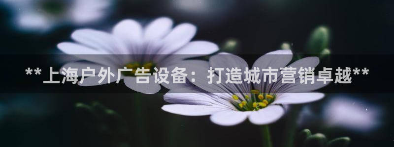 杏宇平台注册地址在哪里：**上海户外广告设备：打造城市营销卓越**