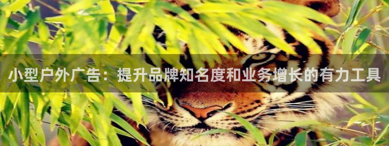 杏宇平台招商怎么样：小型户外广告：提升品牌知名度和业务增长的有力工具