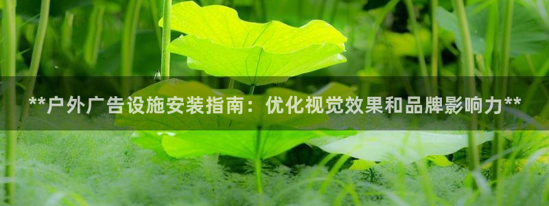 杏宇平台登陆：**户外广告设施安装指南：优化视觉效果和品牌影响力**