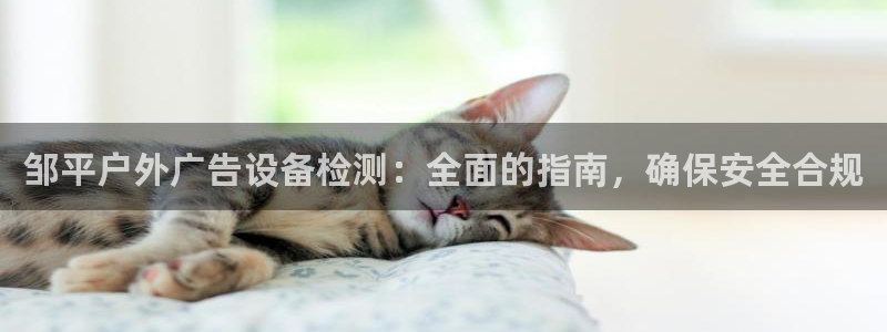 杏宇平台招商怎么样：邹平户外广告设备检测：全面的指南，确保安全合规