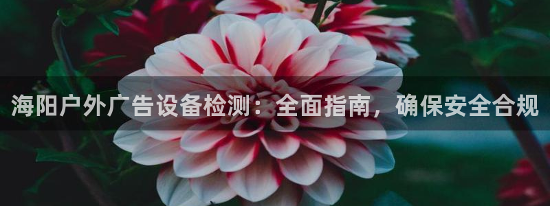 杏宇平台代理怎么样：海阳户外广告设备检测：全面指南，确保安全合规