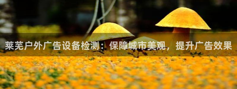 杏宇代理注册：莱芜户外广告设备检测：保障城市美观，提升广告效果