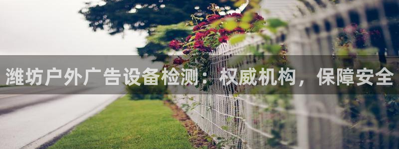 杏宇平台代理多少钱一个月