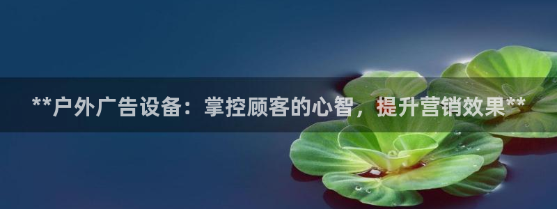 杏宇代理注册：**户外广告设备：掌控顾客的心智，提升营销效果**