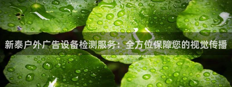 杏宇平台主管：新泰户外广告设备检测服务：全方位保障您的视觉传播