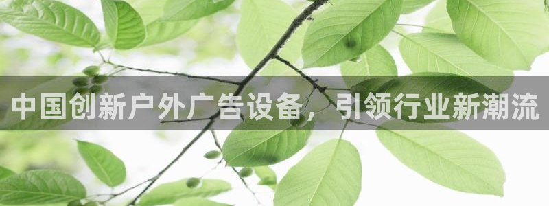 杏宇官方平台官网下载