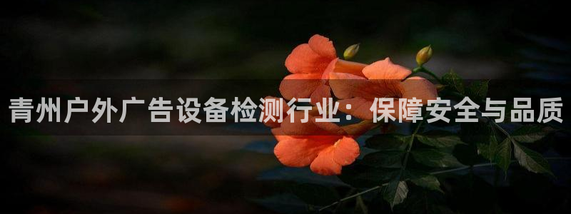 杏宇平台怎么样赚钱