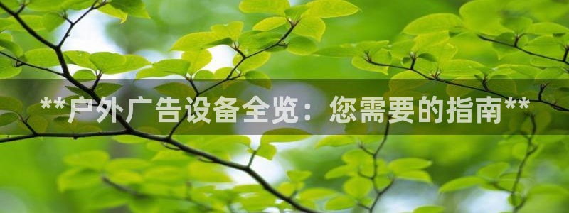 杏宇平台注册登录