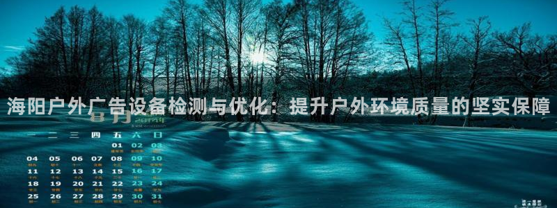 杏宇平台注册登录：海阳户外广告设备检测与优化：提升户外环境质量的坚实保障