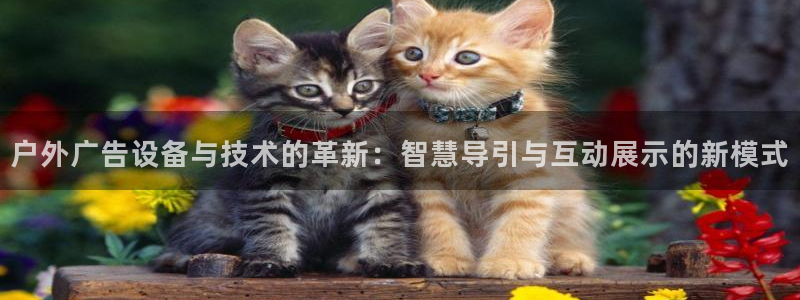 杏宇平台客服：户外广告设备与技术的革新：智慧导引与互动展示的新模式
