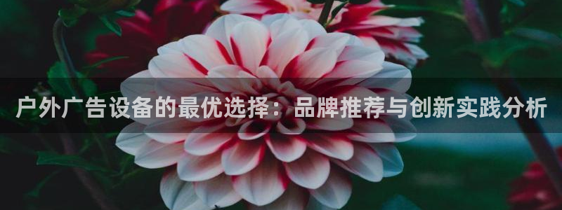 杏宇平台代理多少钱一个月：户外广告设备的最优选择：品牌推荐与创新实践分析
