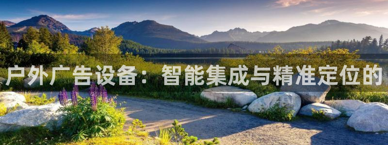 杏宇平台主管：户外广告设备：智能集成与精准定位的