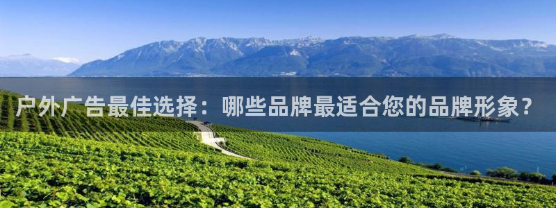 杏宇平台官网注册：户外广告最佳选择：哪些品牌最适合您的品牌形象？