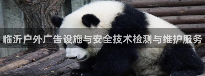 杏宇官方平台官网下载：临沂户外广告设施与安全技术检测与维护服务
