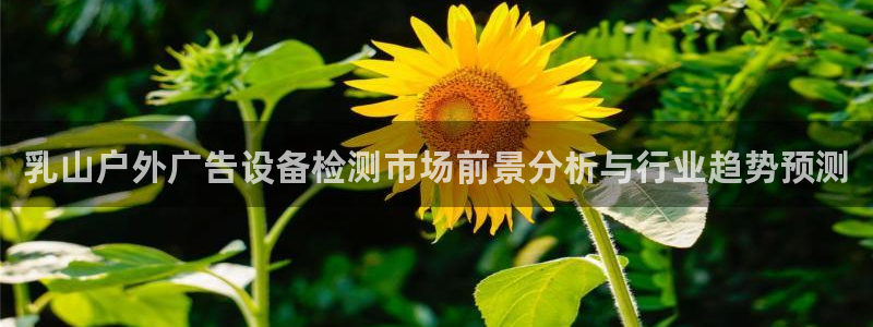 杏宇平台提现为什么这么久呢：乳山户外广告设备检测市场前景分析与行业趋势预测