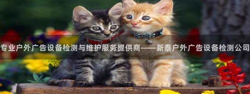 杏宇平台代理怎么赚钱的：专业户外广告设备检测与维护服务提供商——新泰户外广告设备检测公司