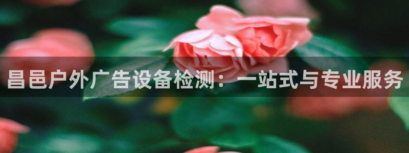 杏宇平台官网注册：昌邑户外广告设备检测：一站式与专业服务
