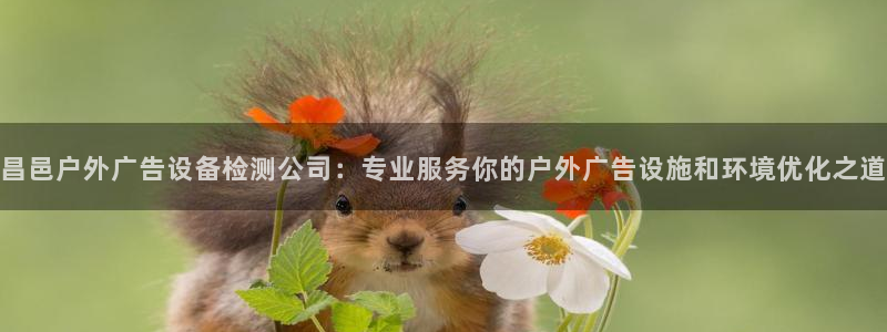 杏宇平台代理多少钱一个月：昌邑户外广告设