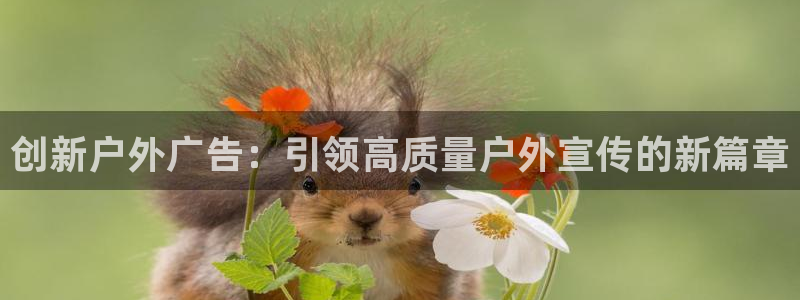 杏宇平台登录步骤图：创新户外广告：引领高质量户外宣传的新篇章