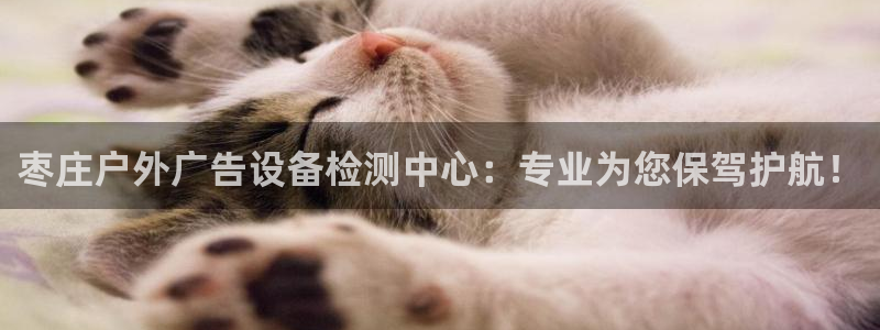 杏宇官方平台官网入口：枣庄户外广告设备检测中心：专业为您保驾护航！