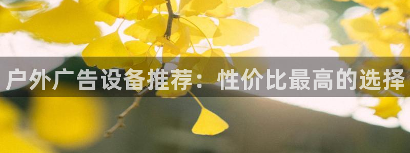 杏宇平台登陆