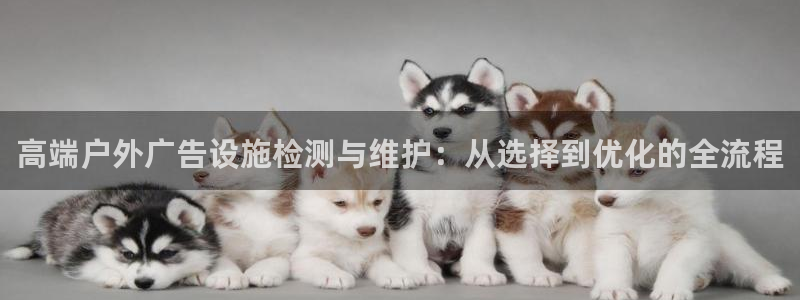 杏宇平台提现为什么这么久呢：高端户外广告设施检测与维护：从选择到优化的全流程