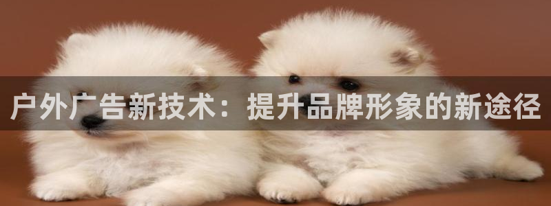 杏宇平台招商怎么样：户外广告新技术：提升品牌形象的新途径