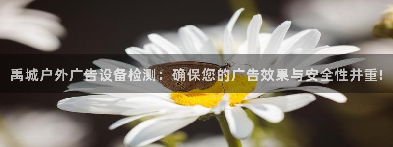 杏宇平台招商怎么样：禹城户外广告设备检测