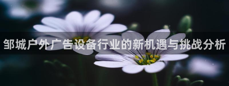 杏宇平台代理多少钱：邹城户外广告设备行业