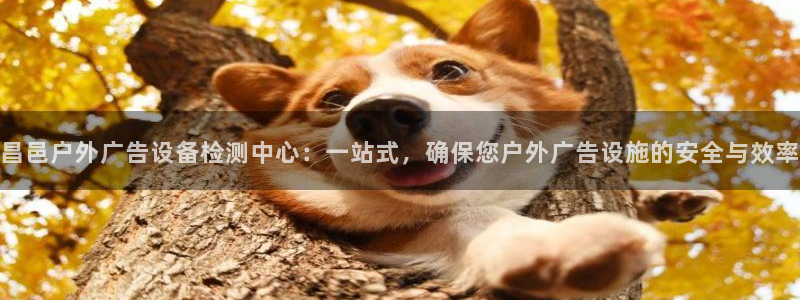 杏宇平台登录方法：昌邑户外广告设备检测中