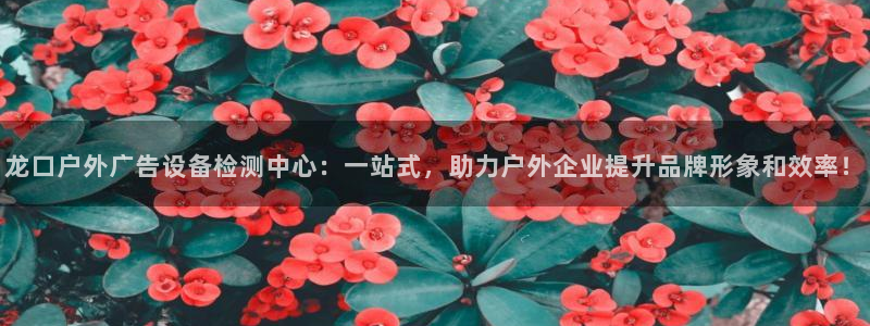杏宇平台是什么：龙口户外广告设备检测中心