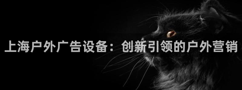 杏宇平台登录方法：上海户外广告设备：创新引领的户外营销