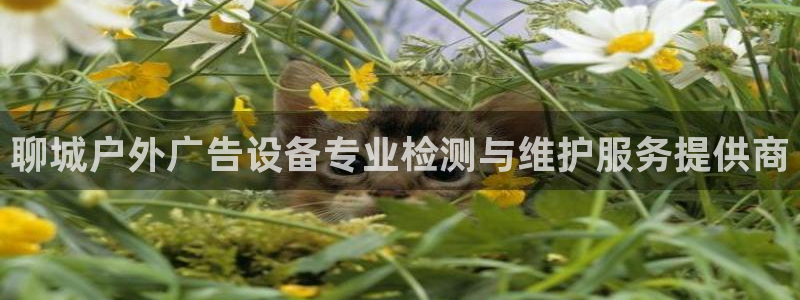 杏宇平台登录方法：聊城户外广告设备专业检