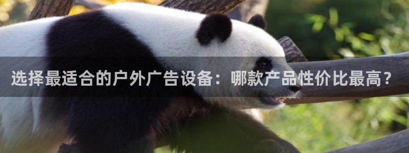杏宇平台怎么样知乎：选择最适合的户外广告