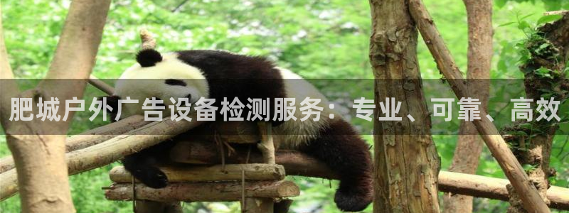 杏宇平台怎么样知乎：肥城户外广告设备检测服务：专业、可靠、高效