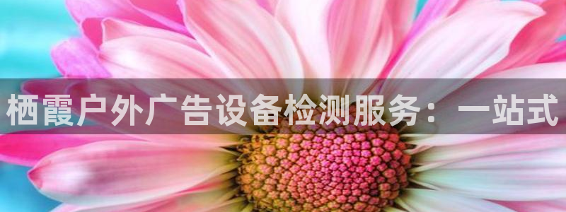 杏宇平台招商电话号码：栖霞户外广告设备检测服务：一站式