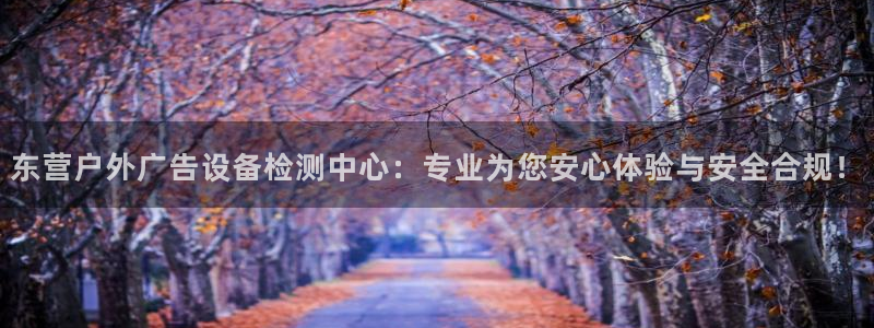 杏宇平台代理多少钱一个月