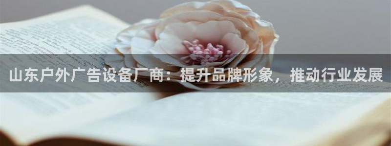 杏宇代理注册：山东户外广告设备厂商：提升