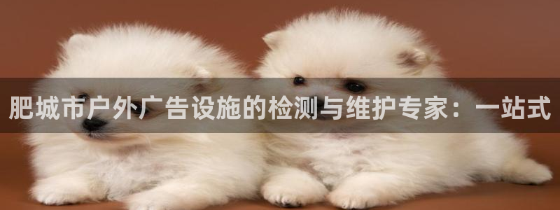 杏宇平台开户：肥城市户外广告设施的检测与维护专家：一站式