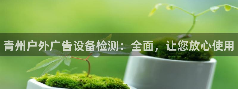 杏宇平台主管