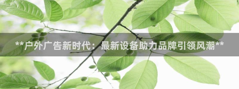 杏宇平台怎么样赚钱