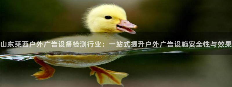 杏宇平台测速链接：山东莱西户外广告设备检测行业：一站式提升户外广告设施安全性与效果